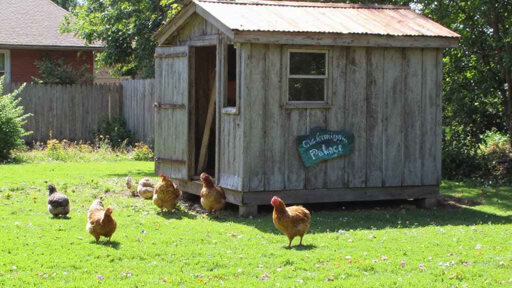 spacious predator proof chicken coop