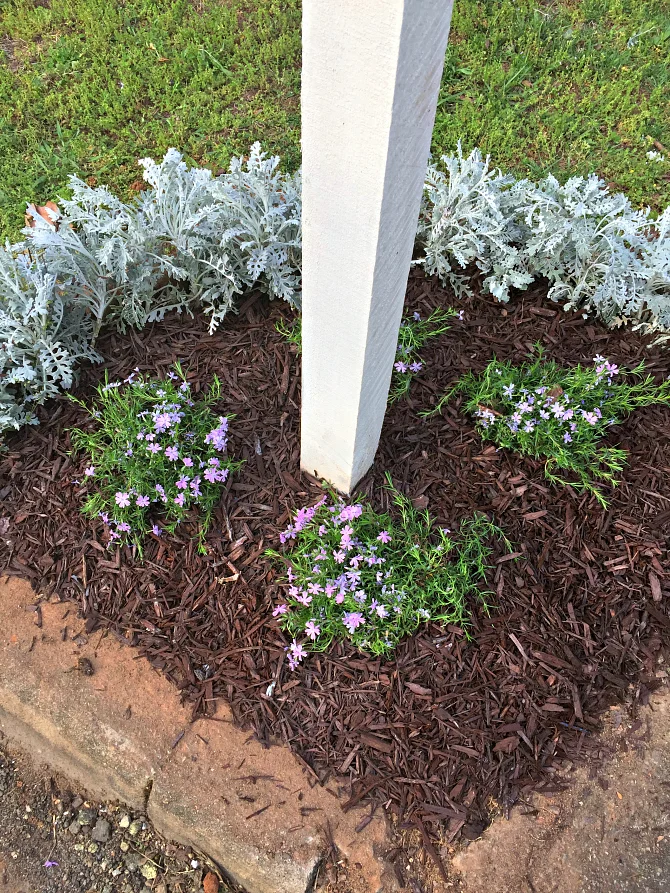 Perennial Mailbox Bed